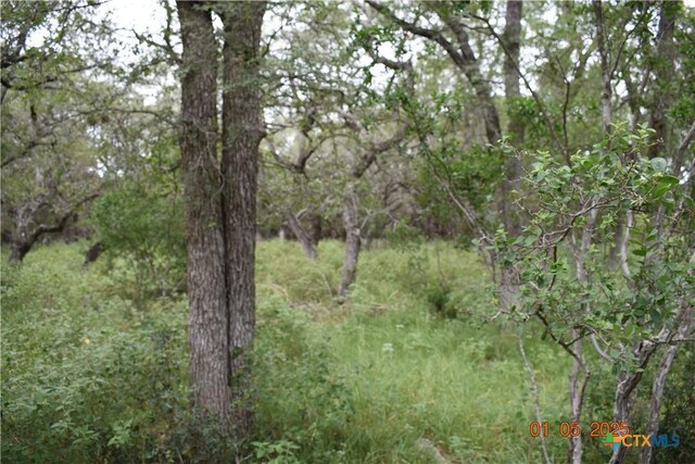 2315 Haven Bluff Ct, New Braunfels, TX 78132 - photo 9