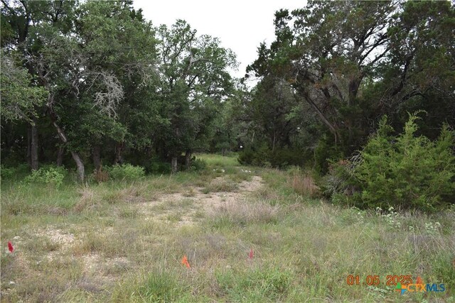 2315 Haven Bluff Ct, New Braunfels, TX 78132 - photo 15