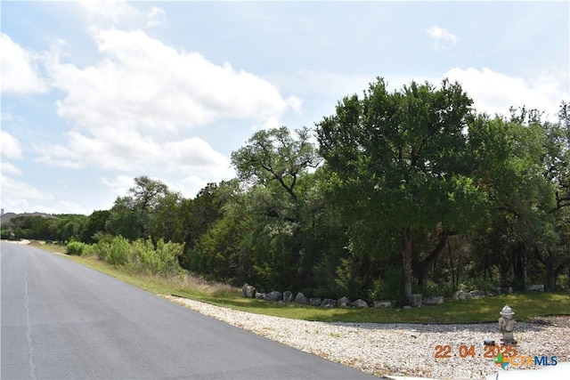 2315 Haven Bluff Ct, New Braunfels, TX 78132