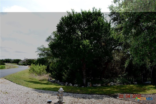 2315 Haven Bluff Ct, New Braunfels, TX 78132