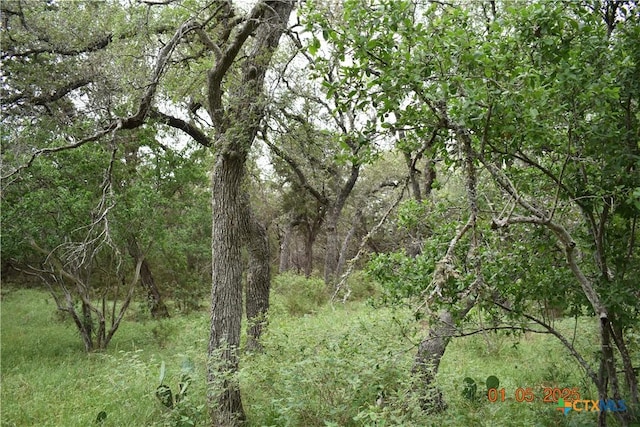 2315 Haven Bluff Ct, New Braunfels, TX 78132