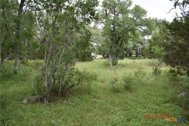 2315 Haven Bluff Ct, New Braunfels, TX 78132 - photo 8