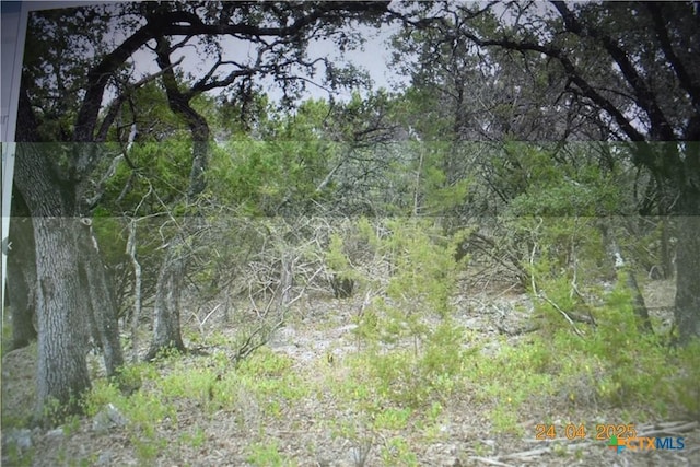 2315 Haven Bluff Ct, New Braunfels, TX 78132