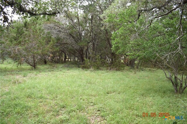 2315 Haven Bluff Ct, New Braunfels, TX 78132 - photo 7