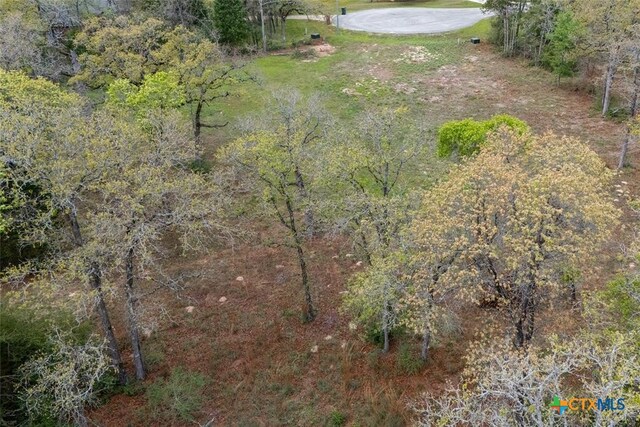 330 Arbors Cir, Elgin, TX 78621 - photo 38