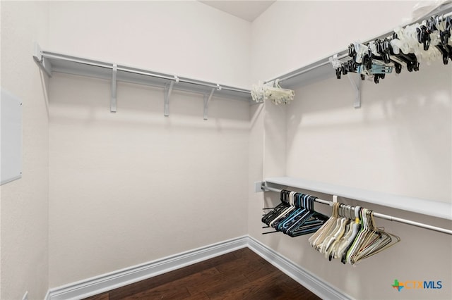 walk in closet with dark wood-type flooring