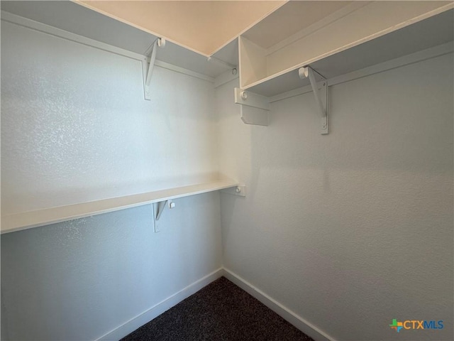 walk in closet with carpet