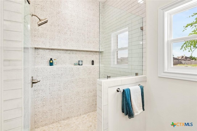 bathroom featuring a walk in shower