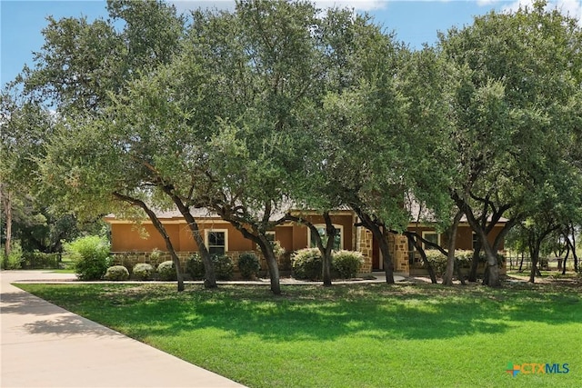 view of front of house with a front lawn and stucco siding