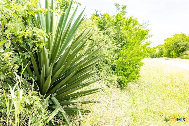 LOT8 Concrete Edgar Rd, Cuero, TX 77954
