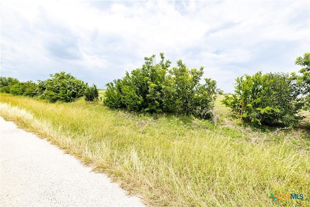 LOT8 Concrete Edgar Rd, Cuero, TX 77954