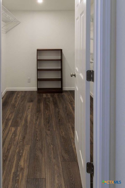 spacious closet with dark hardwood / wood-style floors