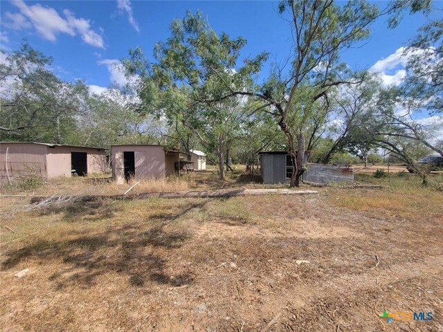 view of yard with a storage unit