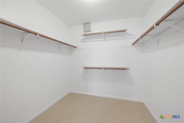 3317 Westrim Dr, Killeen, TX 76549 - view of spacious closet