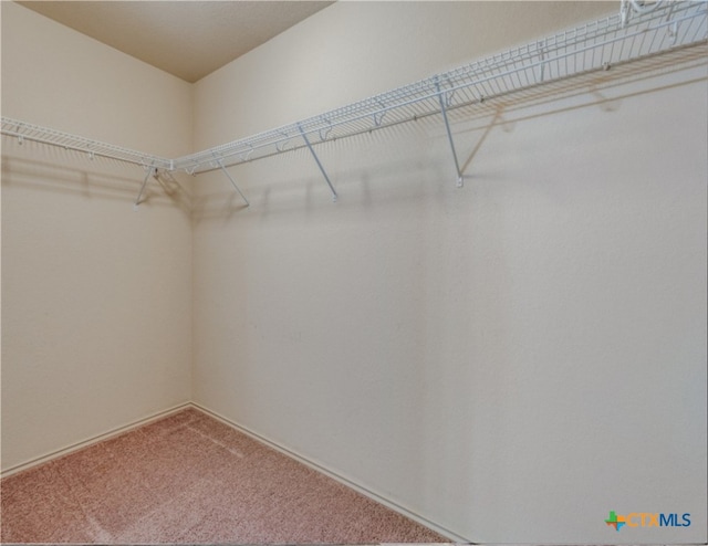1413 Doncaster Dr, Seguin, TX 78155 - walk in closet featuring carpet floors