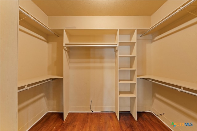 spacious closet with wood-type flooring