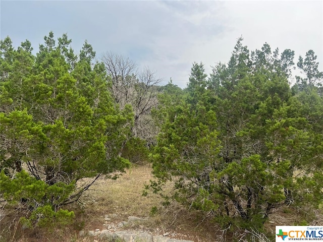 651 Rockmoor, Canyon Lake TX, 78133 land for sale