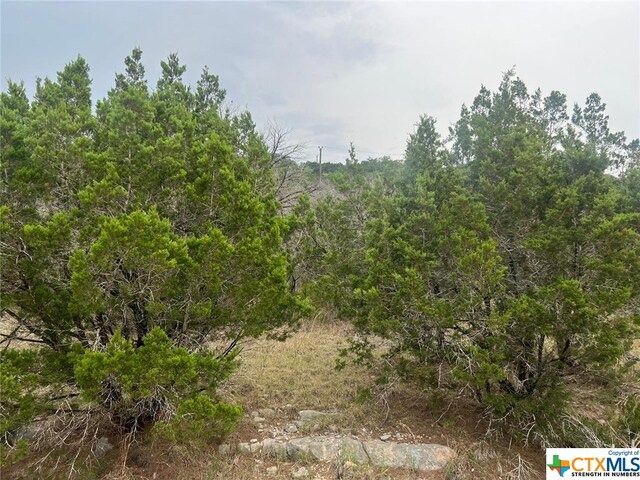 Listing photo 3 for 651 Rockmoor, Canyon Lake TX 78133