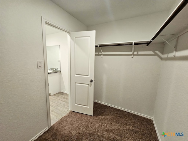 spacious closet with carpet flooring