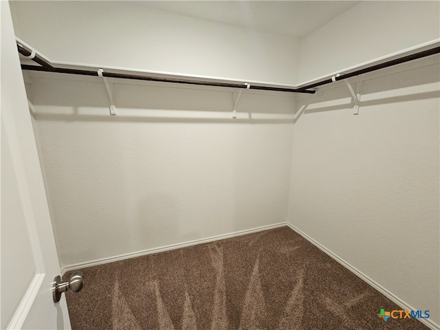 walk in closet featuring carpet