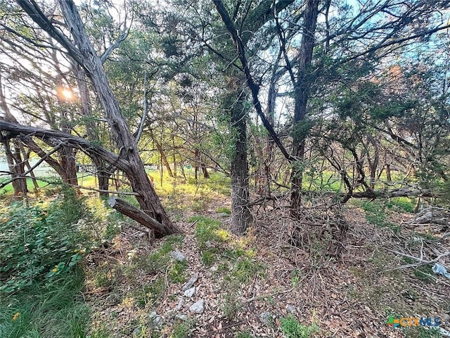 24 Quail Loop, Belton, TX 76513
