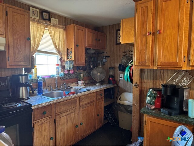 kitchen with black / electric stove, sink, and ventilation hood