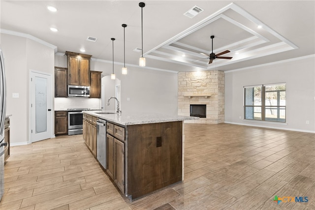 kitchen featuring visible vents, a raised ceiling, stainless steel appliances, a fireplace, and a sink