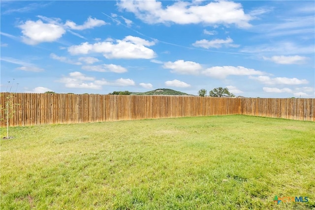 2026 Bee Creek Loop, Copperas Cove, TX 76522 - view of yard