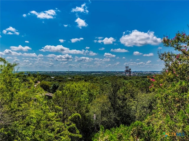 1000 Advance St, San Marcos, TX 78666 - view of landscape featuring a forest view