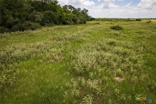 83ACRES County Road 18, Hallettsville, TX 77964