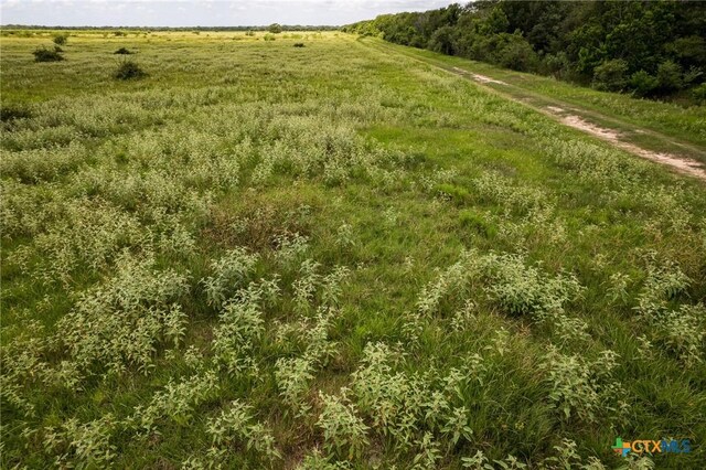 83ACRES County Road 18, Hallettsville, TX 77964
