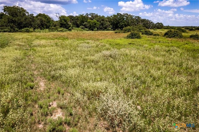 83ACRES County Road 18, Hallettsville, TX 77964
