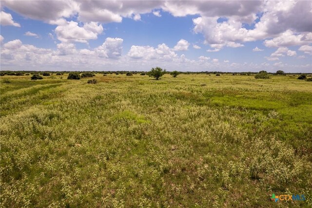 83ACRES County Road 18, Hallettsville, TX 77964