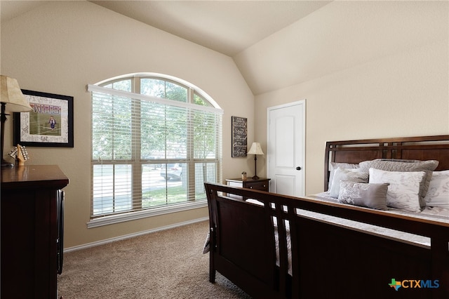 2194 Pioneer Pass, Seguin, TX 78155 - bedroom with lofted ceiling and carpet flooring