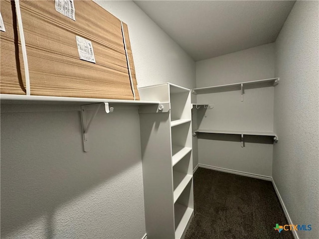 spacious closet featuring dark colored carpet