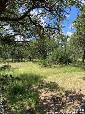 2122 Angeles Ct, Canyon Lake, TX 78133