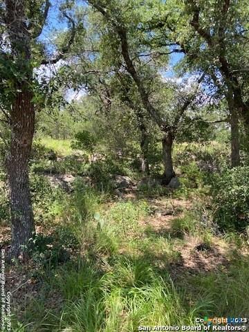2122 Angeles Ct, Canyon Lake, TX 78133