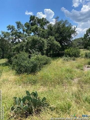 2122 Angeles Ct, Canyon Lake, TX 78133