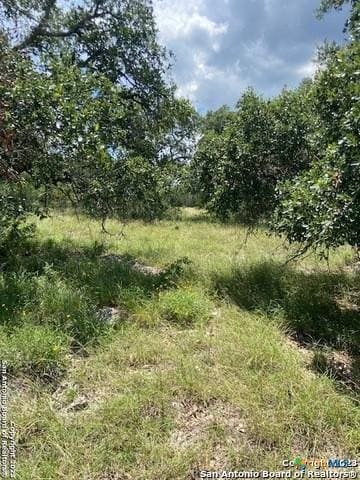 2122 Angeles Ct, Canyon Lake, TX 78133