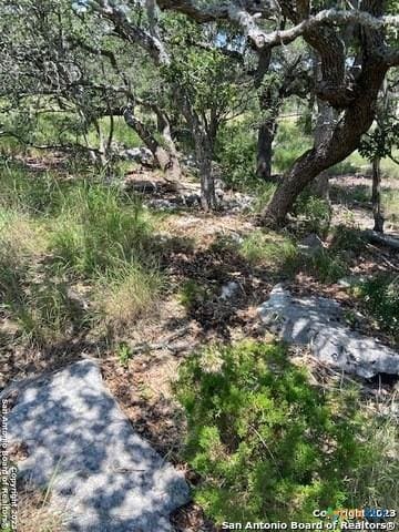 2122 Angeles Ct, Canyon Lake, TX 78133