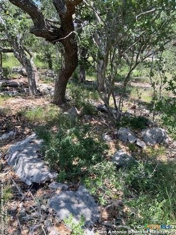 2122 Angeles Ct, Canyon Lake, TX 78133