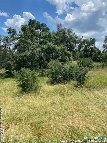 2122 Angeles Ct, Canyon Lake, TX 78133
