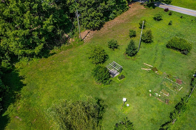 352 Ottoman Ferry Rd, Lancaster, VA 22503 - photo 41