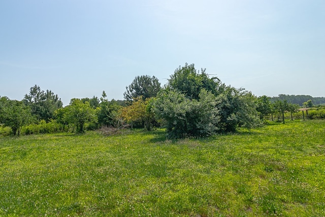 352 Ottoman Ferry Rd, Lancaster, VA 22503 - photo 59