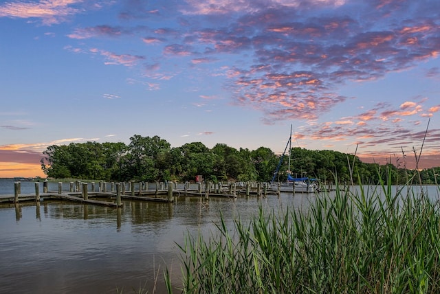 water view featuring a dock