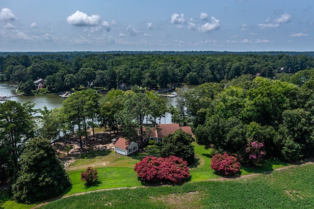 drone / aerial view with a water view