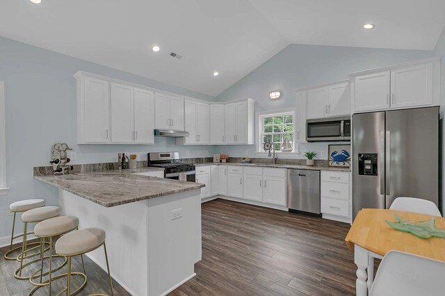 250 Pocahontas Ave, Deltaville, VA 23043 - kitchen with appliances with stainless steel finishes, white cabinetry, vaulted ceiling, a peninsula, and dark wood-style floors