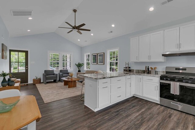 250 Pocahontas Ave, Deltaville, VA 23043 - kitchen with gas range, under cabinet range hood, ceiling fan, open floor plan, and dark wood finished floors
