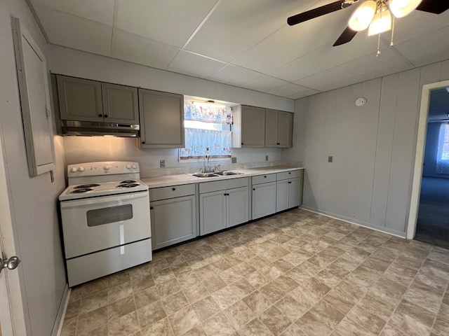 kitchen with gray cabinetry, a drop ceiling, white electric range, sink, and ceiling fan