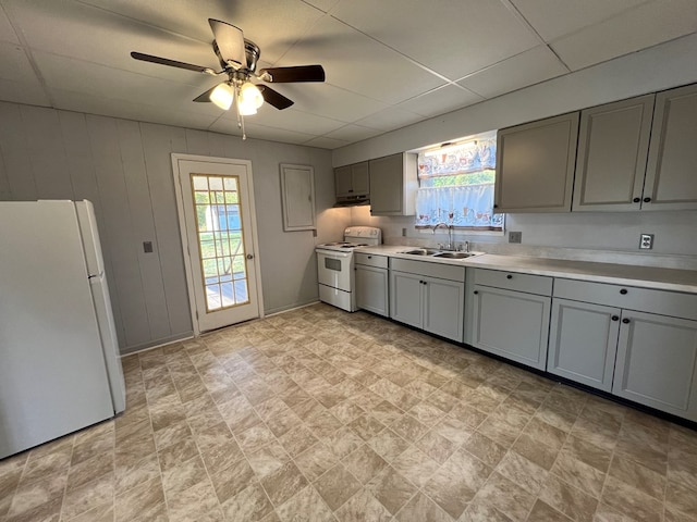 kitchen with gray cabinetry, ceiling fan, sink, a drop ceiling, and white appliances